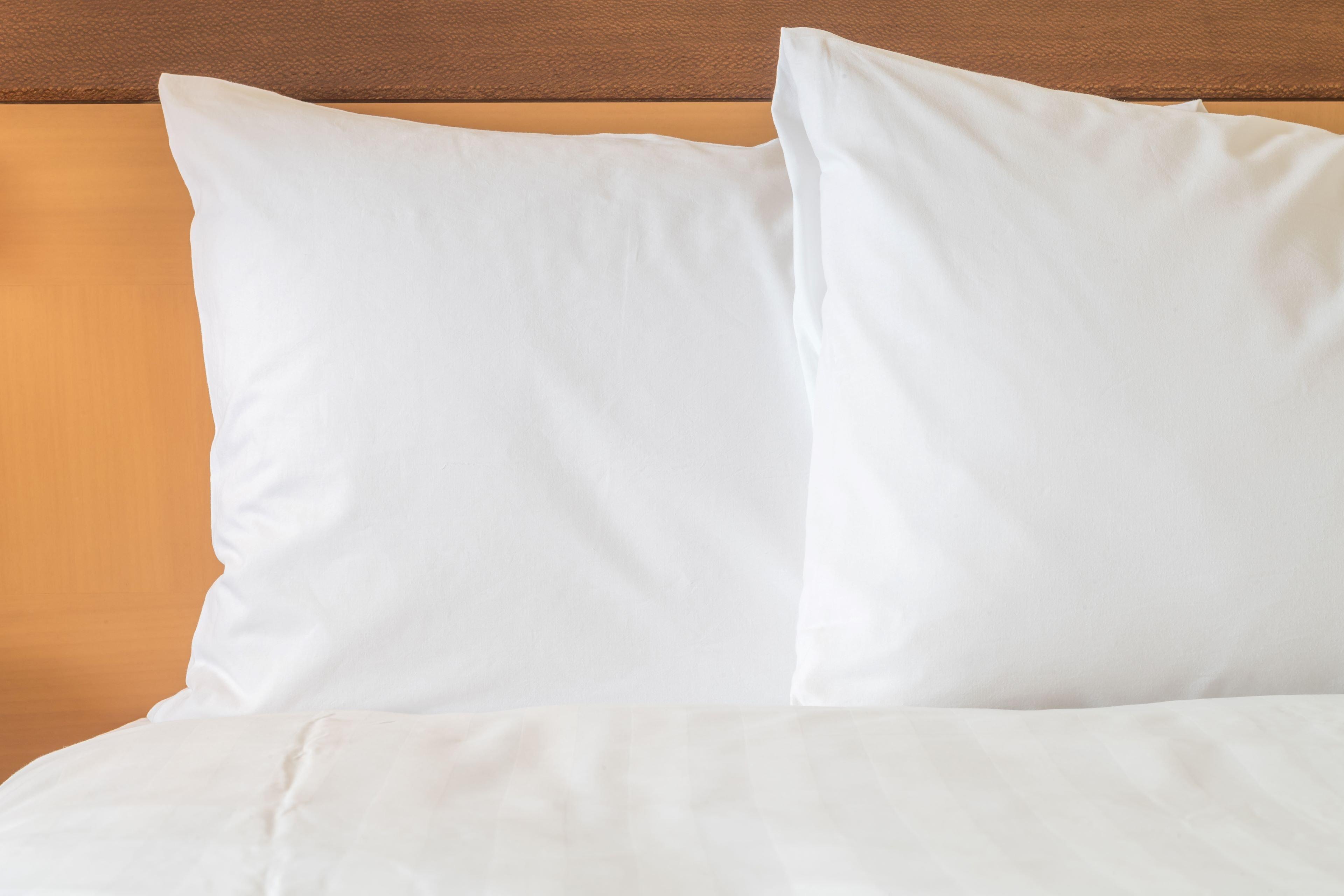 Holiday Inn Express Brisbane Central By Ihg Extérieur photo